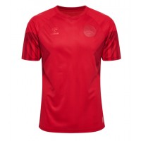 Denmark Replica Home Shirt World Cup 2022 Short Sleeve